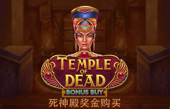 头部券商抗风险能力增强 部分中小券商逆势突围
